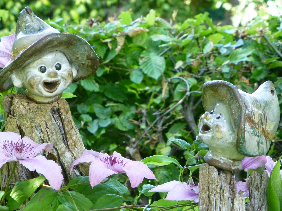 Tuin en omgeving